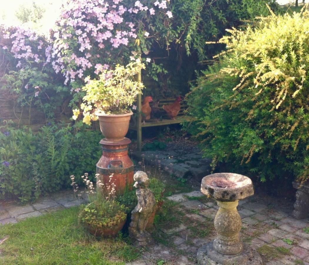 Five Saints Farmhouse B&B Pumpsaint 外观 照片
